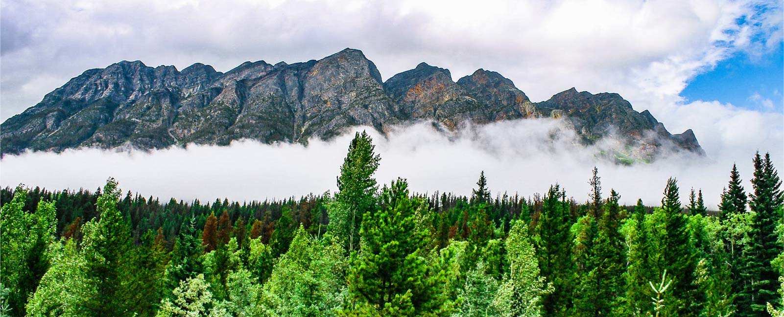 Zhejiang Zhongli Synthetische Materialen Technologie Co., Ltd.